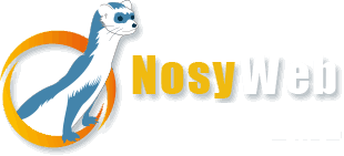 NosyWeb